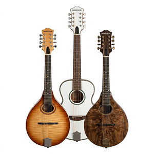Mandoline