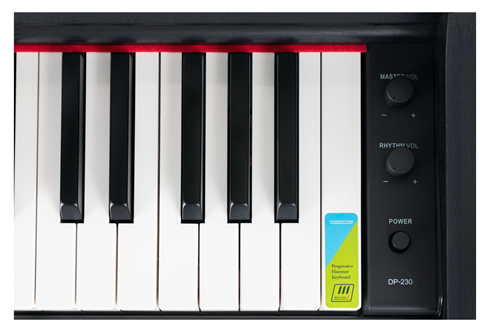 Classic Cantabile DP-230 SM