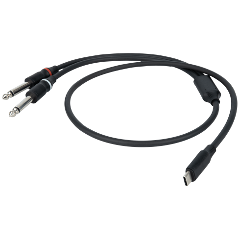 DAP FL111-USB-C to 2 Mono Jack L/R