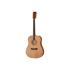 Harley Benton D-120NT
