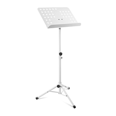 GRAVITY NS 411 W