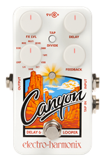Electro Harmonix Canyon Delay & Looper