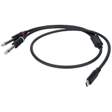 DAP FL111-USB-C to 2 Mono Jack L/R