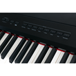 Steinmayer P-60 SM