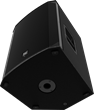 Electro-Voice EKX 12