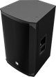 Electro-Voice EKX 15