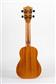 BUMBLEBEE UKULELES BUS22 SOPRANO SPRUCE/MAH