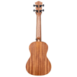 Cascha Art Sketch Concert Ukulele