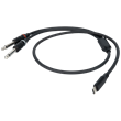 DAP FL111 - USB-C to 2 Mono Jack L/R
