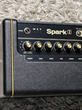 Positive Grid Spark 2